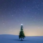 ミニ❤小柄✨️natureの画像