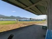 パーカー