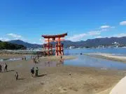 のりさんの画像