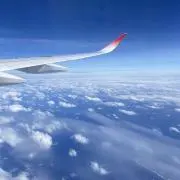 Annの画像