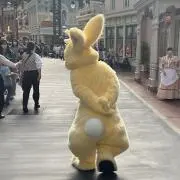 ぴぴぴ✮の画像