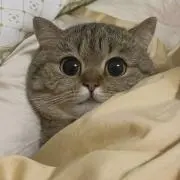 たまJ 【プロフお読みください】