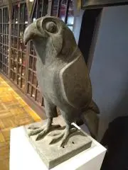 ふみの画像