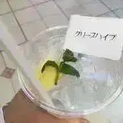 omochaの画像