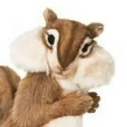 りすこの画像
