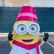 ぽんたの画像