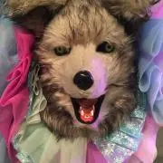 ちーの画像