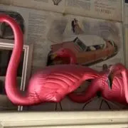 FRAMINGOの画像
