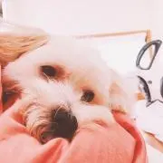 ちぃ
