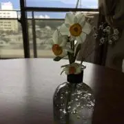 ＹＪＫ