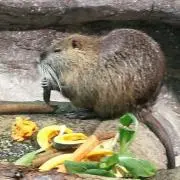 ☆IYK☆の画像