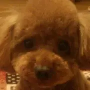romi