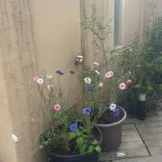 ♬の画像