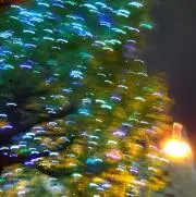 木綿季の画像