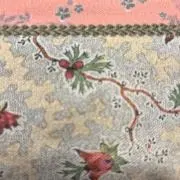 まめめの画像