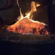 ありひと
