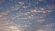 トミーの画像