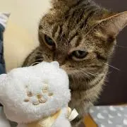 うにゃにゃん☆