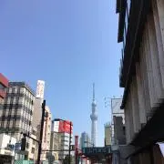 うちの画像