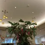 t@yuの画像