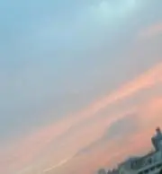 ぽむの画像