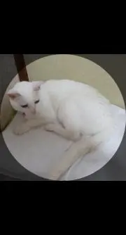 maの画像
