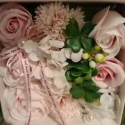 aiの画像