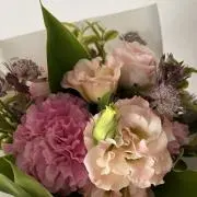 ちえ