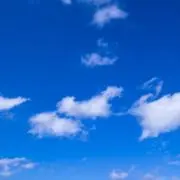 ponyの画像