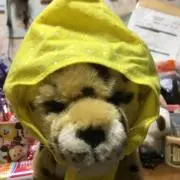 Marin1002の画像