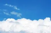 みぃの画像