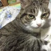 さくっちの画像