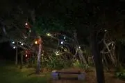 meimaiの画像