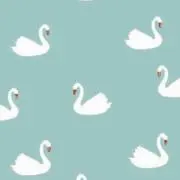 koto ◯引っ越し準備中◯の画像