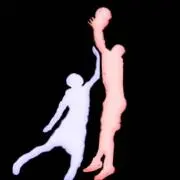dsnv
