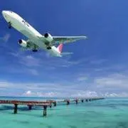 Nippon Cameraの画像