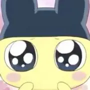 no____cccの画像