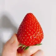 ueiueiの画像
