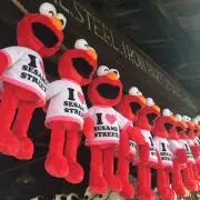 ひまわりの画像