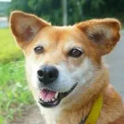 アキュこん　即購入も無言取引もOKです！の画像