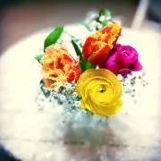 kwmy33の画像