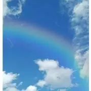 あおぞらの画像