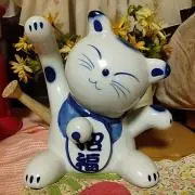 のんちゃんの画像