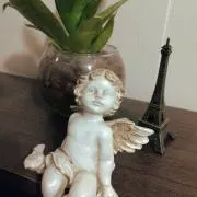 Jasmineの画像