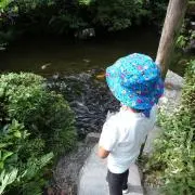 しい