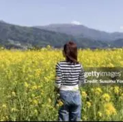 saltの画像