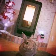ゆこみママの画像