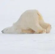 kの画像