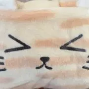 るるの画像