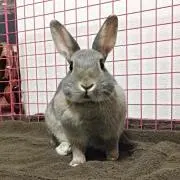 そうに